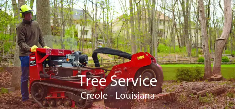 Tree Service Creole - Louisiana