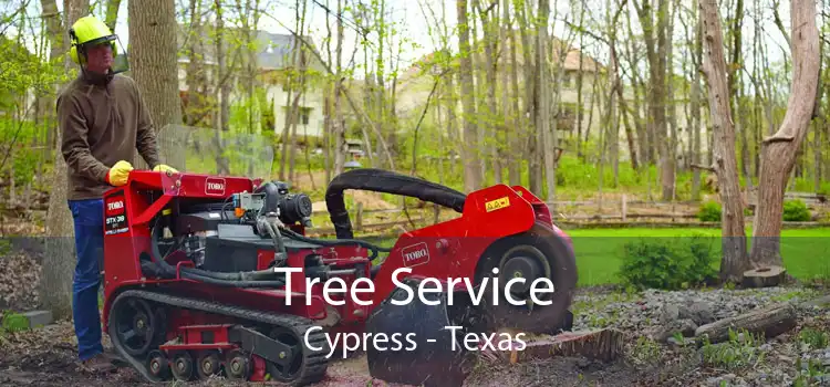 Tree Service Cypress - Texas