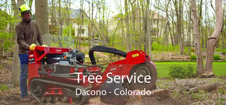 Tree Service Dacono - Colorado