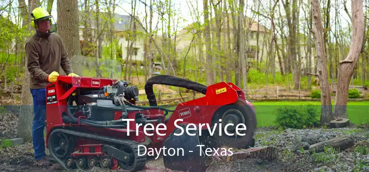 Tree Service Dayton - Texas