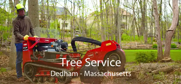 Tree Service Dedham - Massachusetts