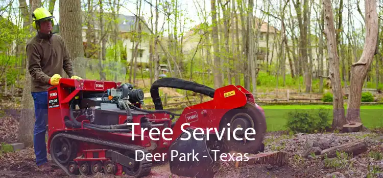 Tree Service Deer Park - Texas