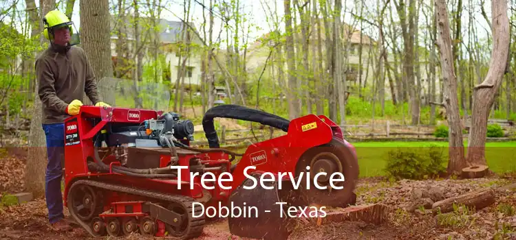 Tree Service Dobbin - Texas