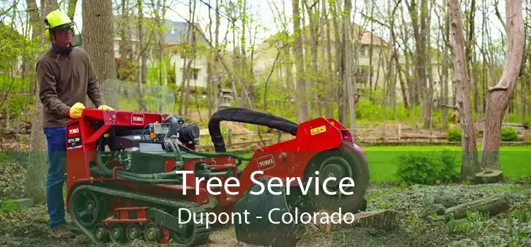 Tree Service Dupont - Colorado