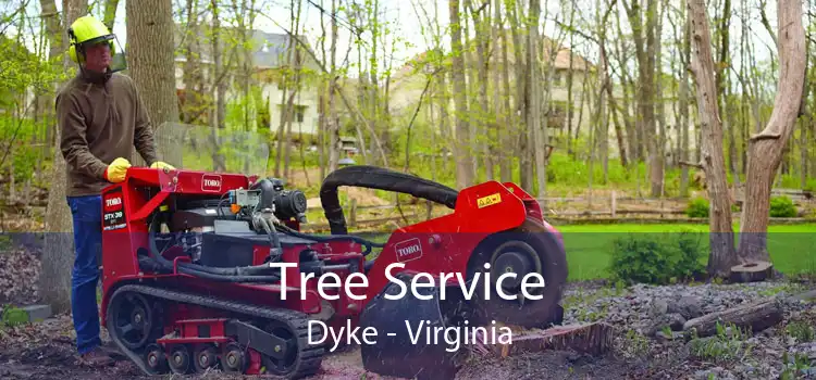 Tree Service Dyke - Virginia