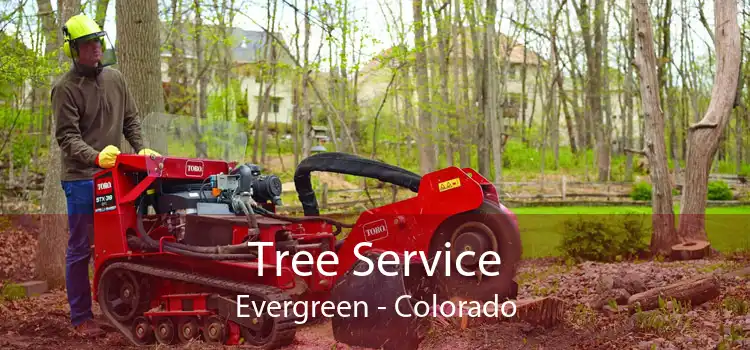 Tree Service Evergreen - Colorado