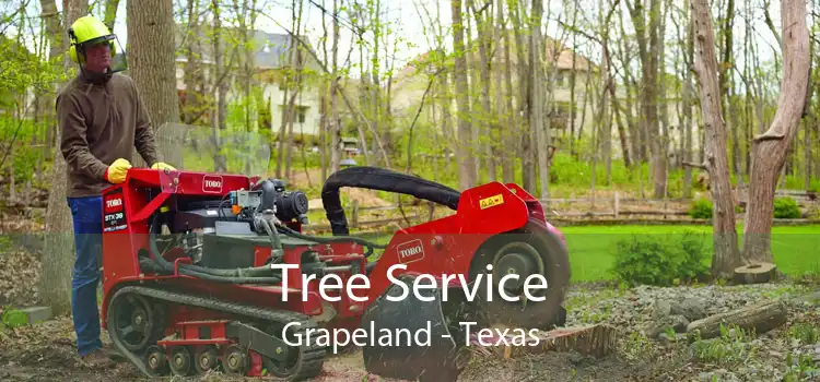 Tree Service Grapeland - Texas