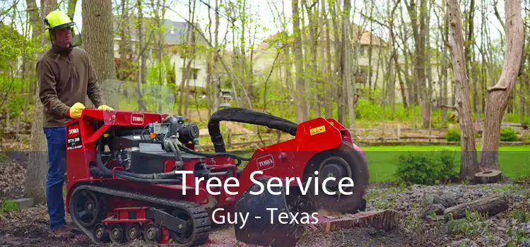 Tree Service Guy - Texas