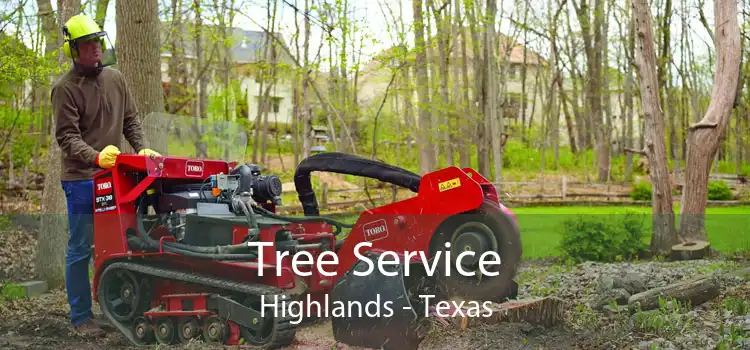 Tree Service Highlands - Texas