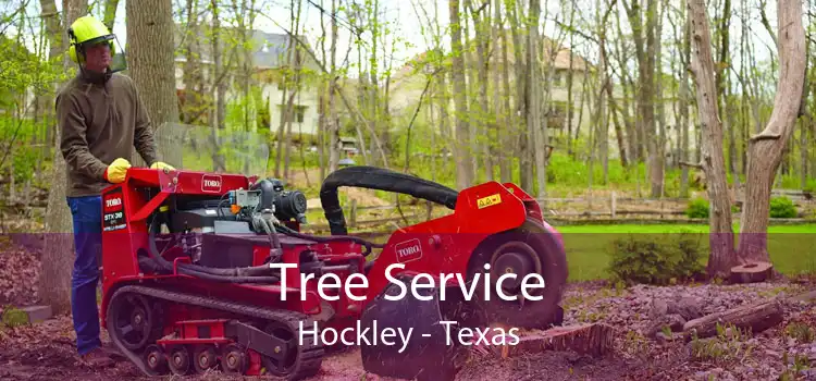 Tree Service Hockley - Texas