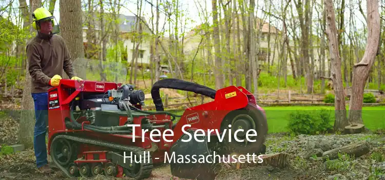 Tree Service Hull - Massachusetts