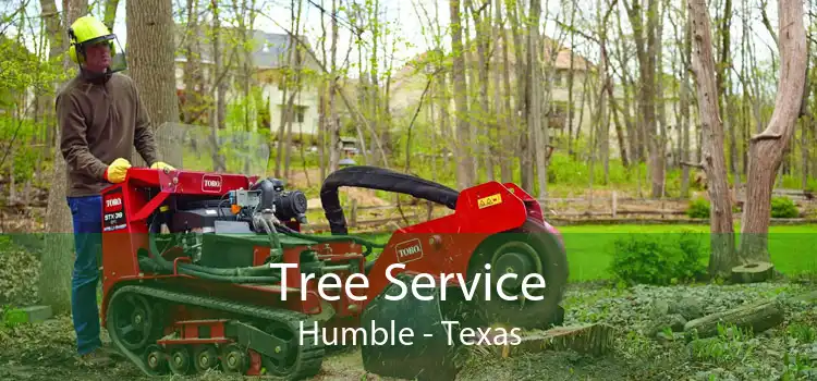 Tree Service Humble - Texas