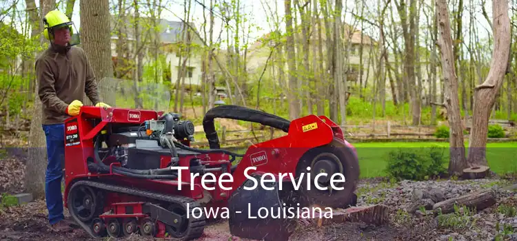 Tree Service Iowa - Louisiana