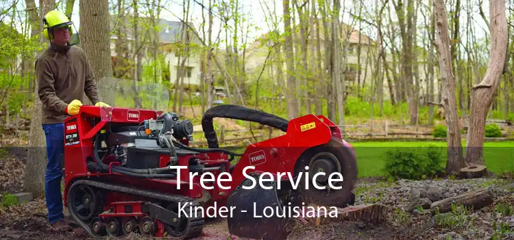 Tree Service Kinder - Louisiana