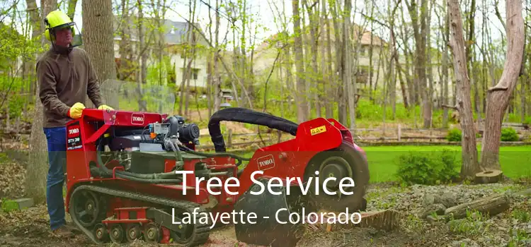 Tree Service Lafayette - Colorado