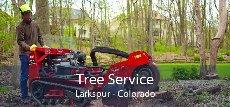 Tree Service Larkspur - Colorado