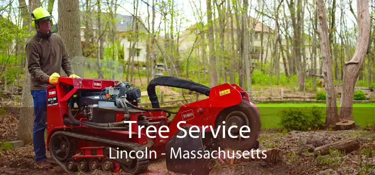 Tree Service Lincoln - Massachusetts