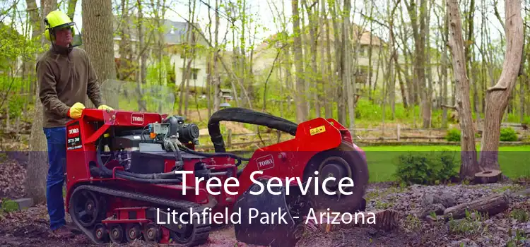 Tree Service Litchfield Park - Arizona