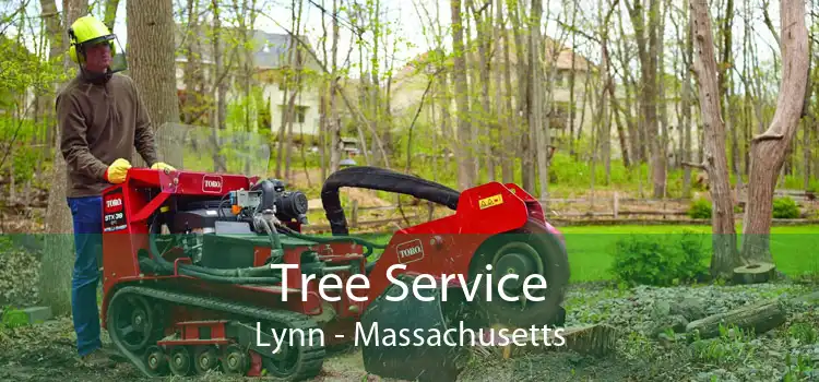 Tree Service Lynn - Massachusetts