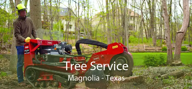 Tree Service Magnolia - Texas