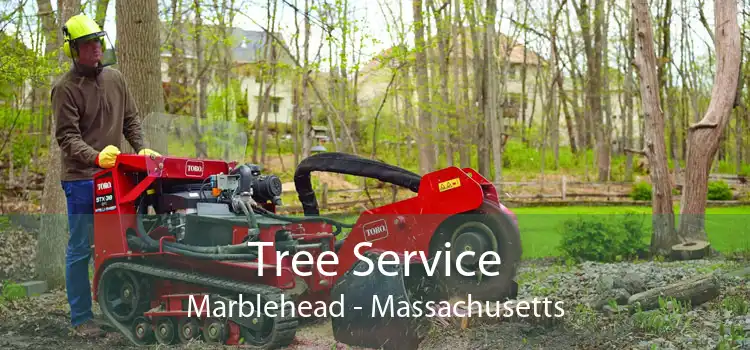 Tree Service Marblehead - Massachusetts