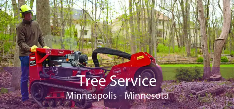 Tree Service Minneapolis - Minnesota