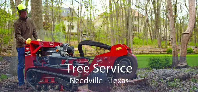 Tree Service Needville - Texas