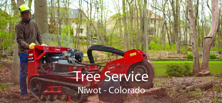 Tree Service Niwot - Colorado