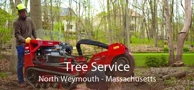 Tree Service North Weymouth - Massachusetts