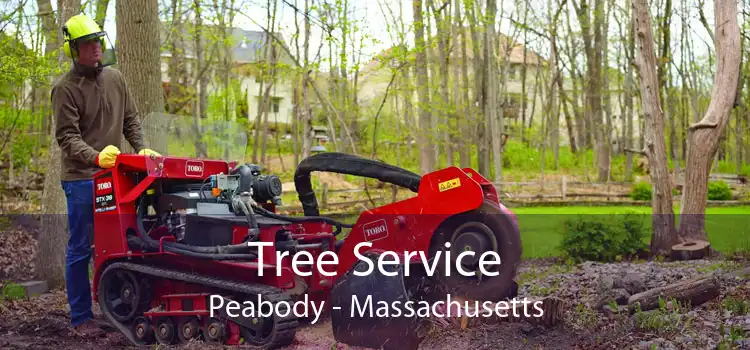 Tree Service Peabody - Massachusetts