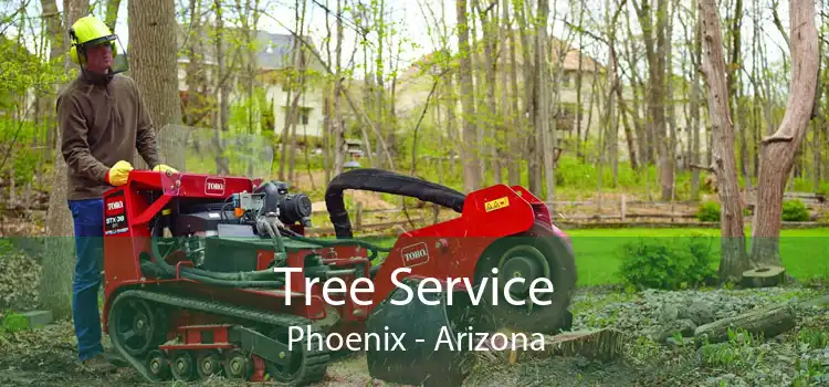 Tree Service Phoenix - Arizona