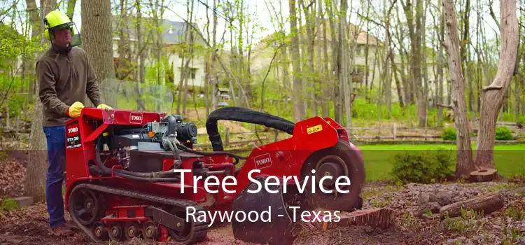 Tree Service Raywood - Texas