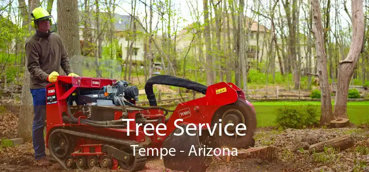 Tree Service Tempe - Arizona