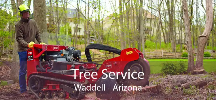 Tree Service Waddell - Arizona