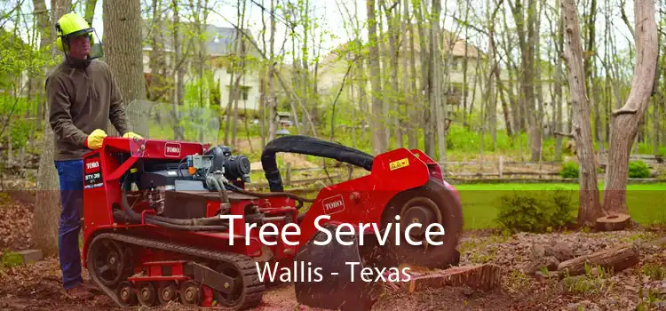 Tree Service Wallis - Texas