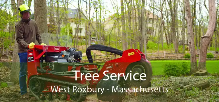 Tree Service West Roxbury - Massachusetts