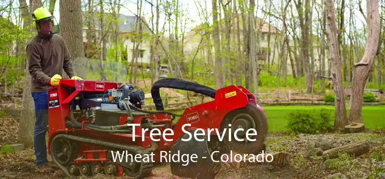 Tree Service Wheat Ridge - Colorado