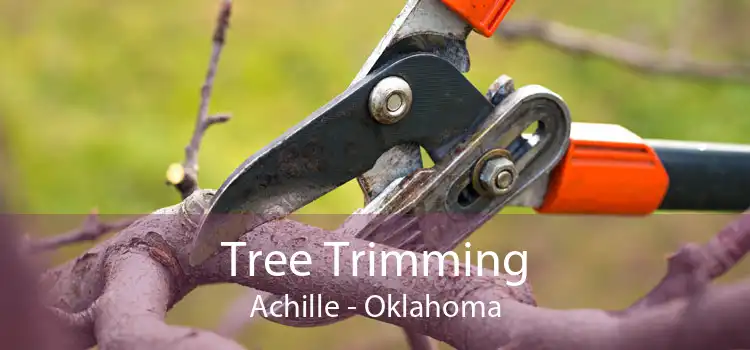 Tree Trimming Achille - Oklahoma