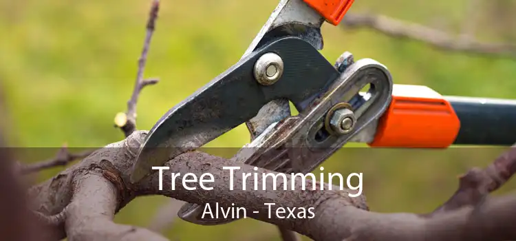 Tree Trimming Alvin - Texas