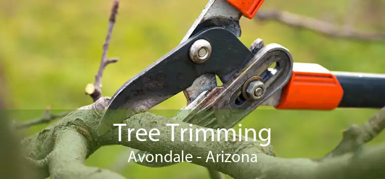 Tree Trimming Avondale - Arizona