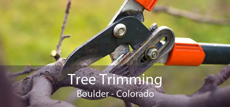 Tree Trimming Boulder - Colorado