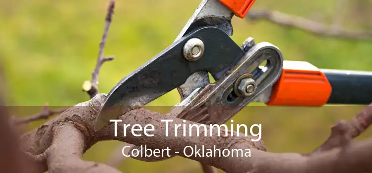 Tree Trimming Colbert - Oklahoma