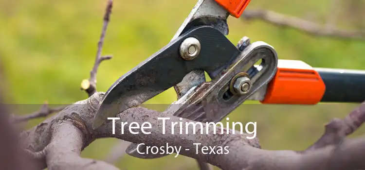 Tree Trimming Crosby - Texas