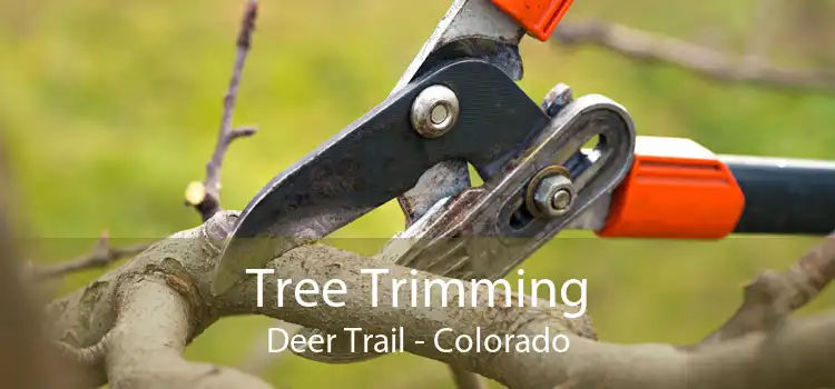 Tree Trimming Deer Trail - Colorado