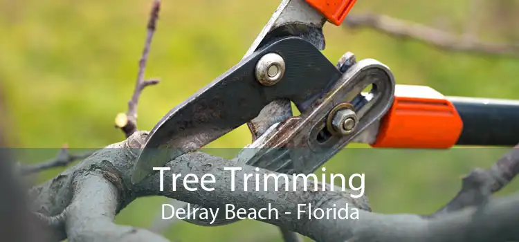 Tree Trimming Delray Beach - Florida