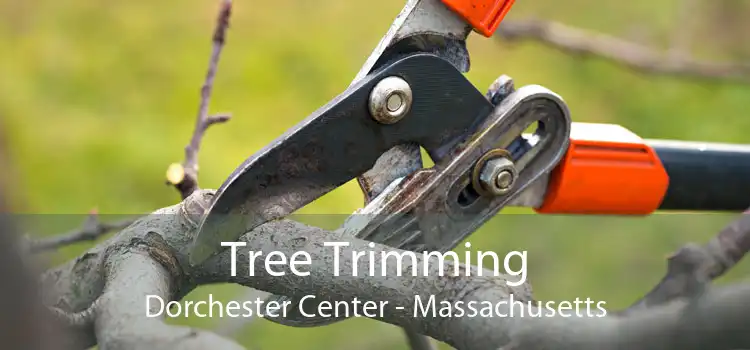 Tree Trimming Dorchester Center - Massachusetts