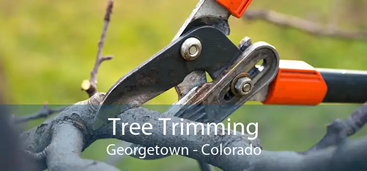 Tree Trimming Georgetown - Colorado