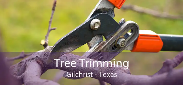 Tree Trimming Gilchrist - Texas