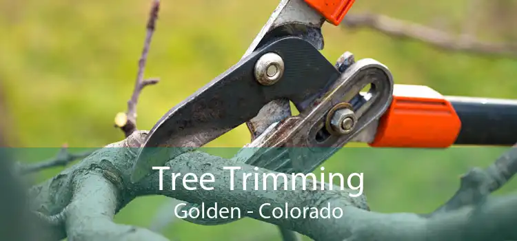 Tree Trimming Golden - Colorado