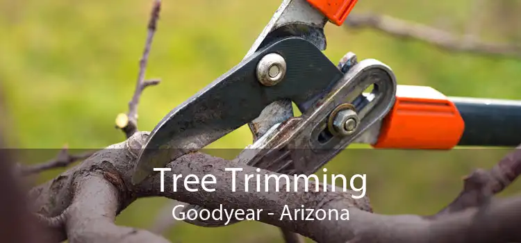 Tree Trimming Goodyear - Arizona